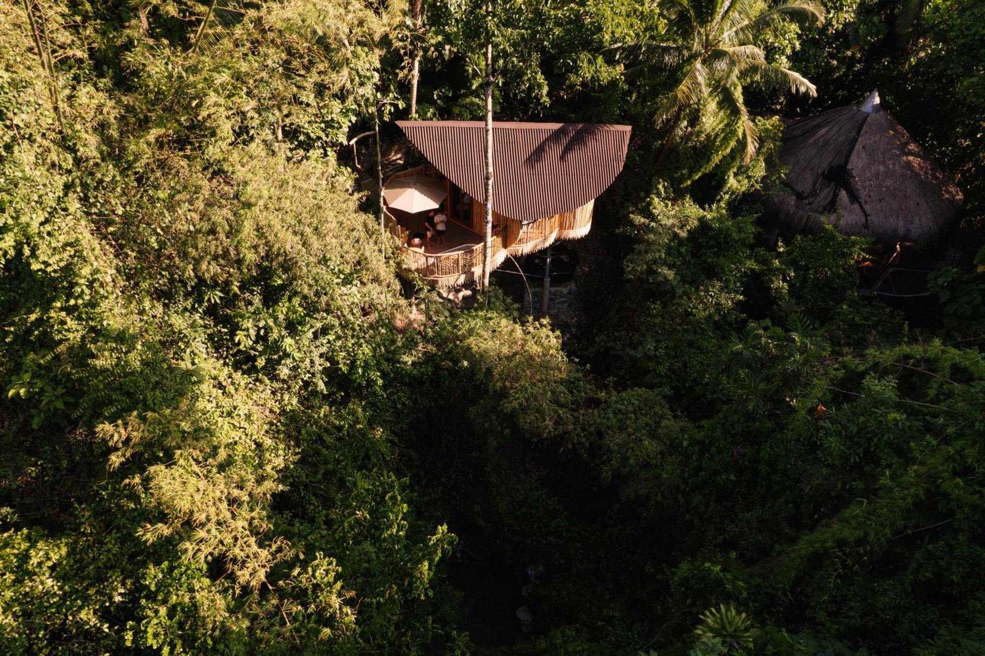 Villa Treehouse De Valentine Balamban Exterior foto