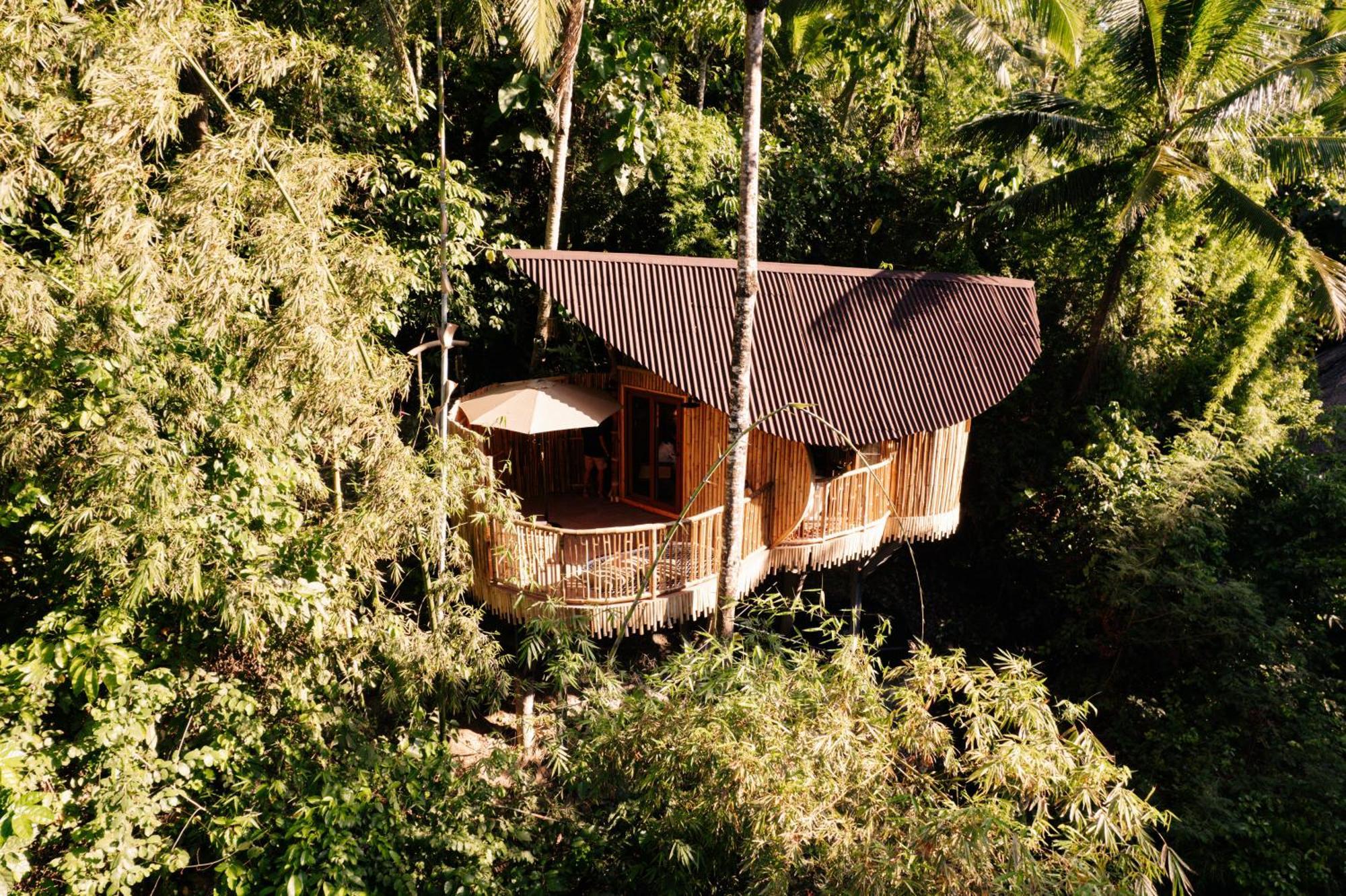 Villa Treehouse De Valentine Balamban Exterior foto